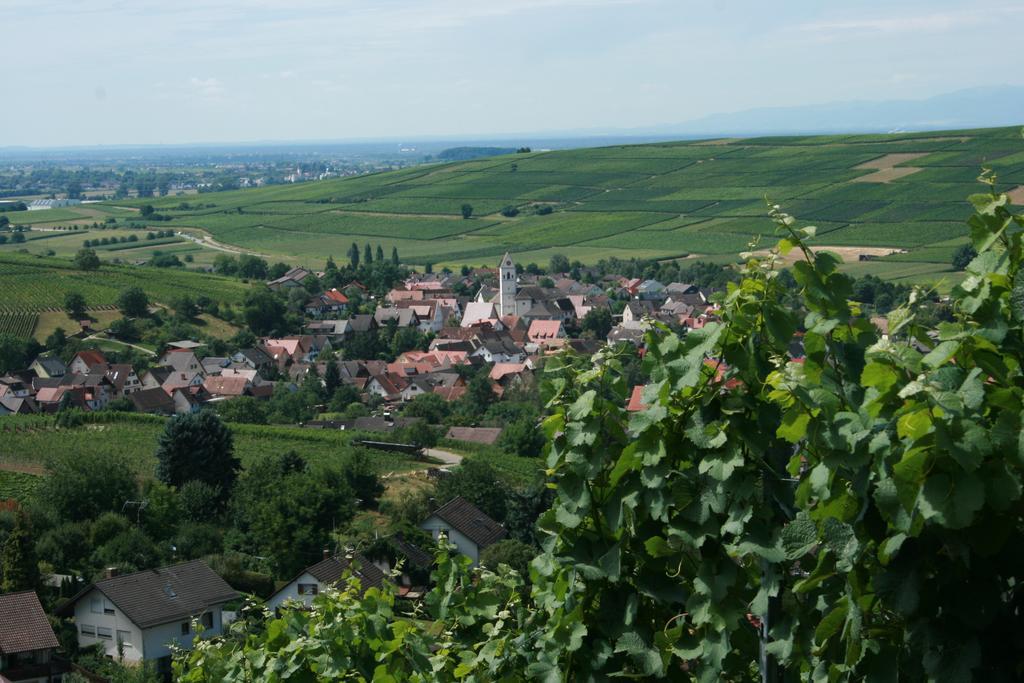 Hotel Restaurant Engel Pfaffenweiler Екстериор снимка